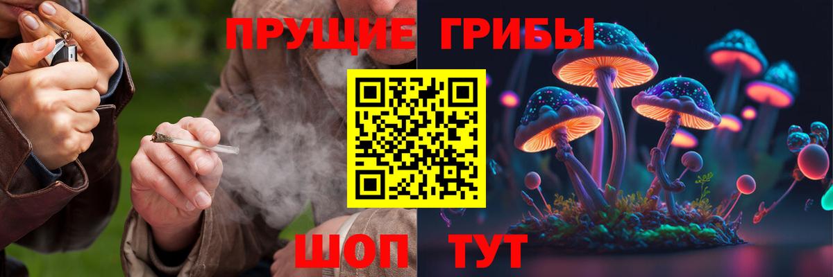 Галлюциногенные грибы Cubensis  Псилоцибиновые грибы мицелий  Вход с VPN  Норильск 